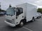 2023 Chevrolet Low Cab Forward 3500 HG Base